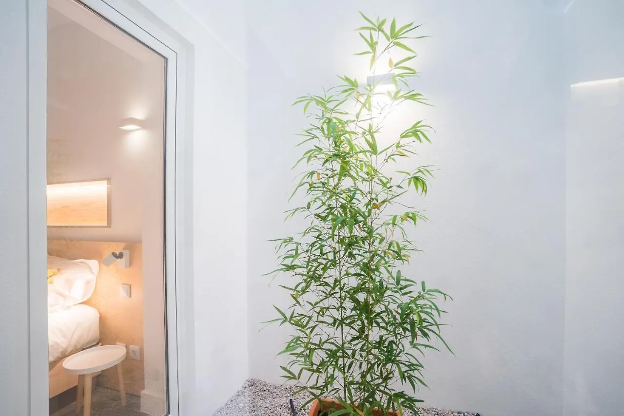 Wood Wall & Garden Apartment Lisbon Portugal